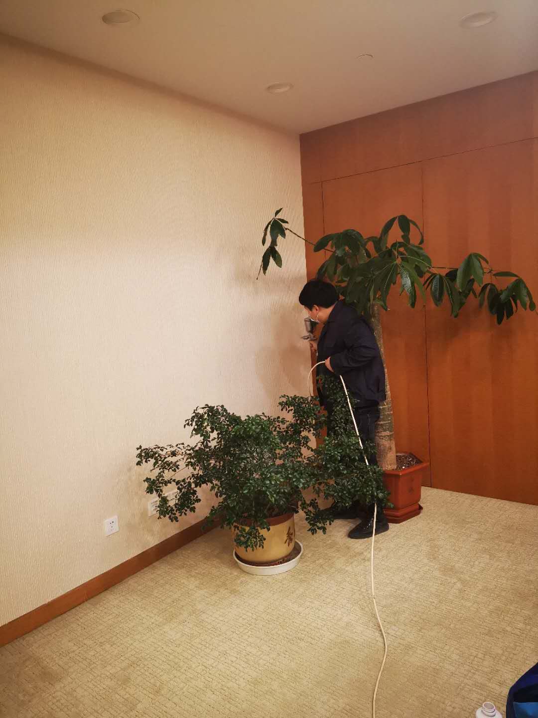 室內除甲醛